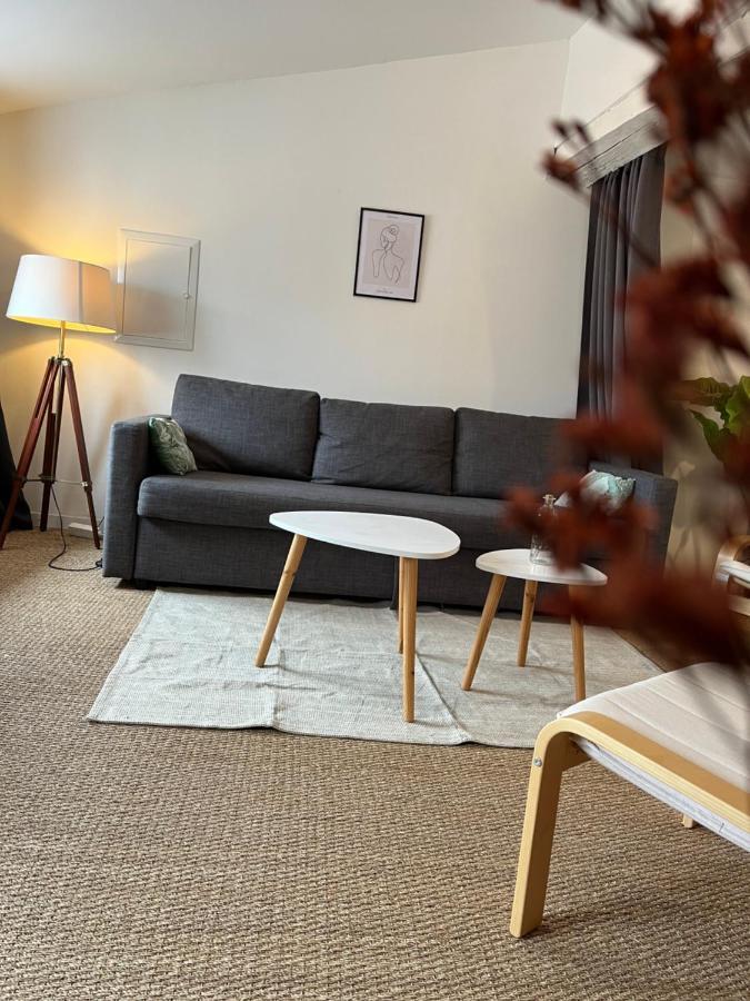 Loft Cosy - Centre Historique Climatise Appartement Revel  Buitenkant foto